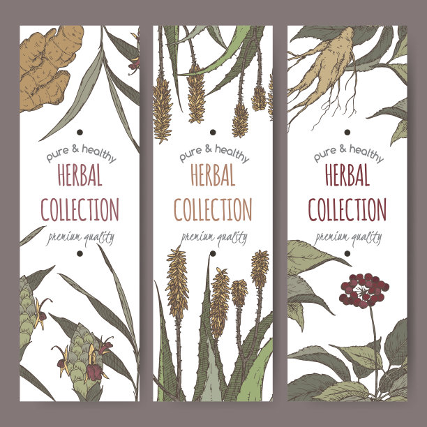 三色矢量草药茶标签与生姜，芦荟和人参图片下载