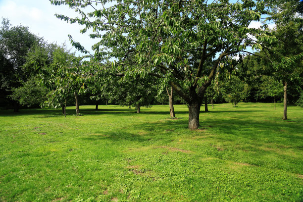 城市公园图片下载