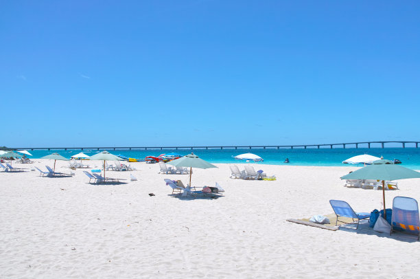 仲夏约纳哈梅哈马海滩图片下载