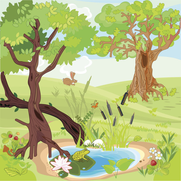 森林景观图片下载