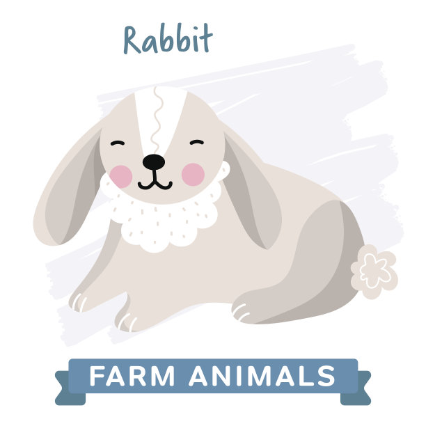 兔子孤立,向量。图片下载