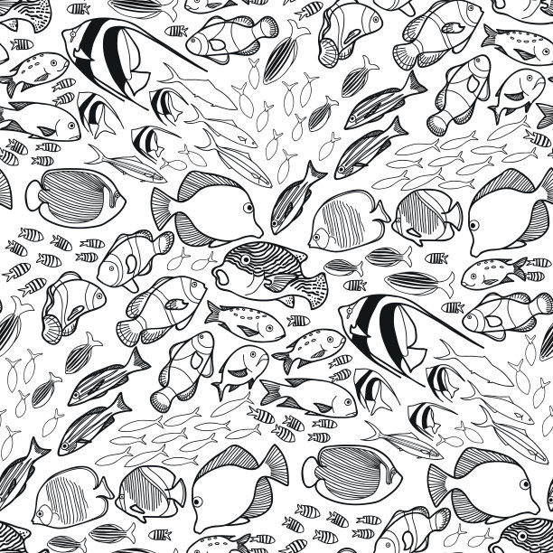 收集海鱼图片下载