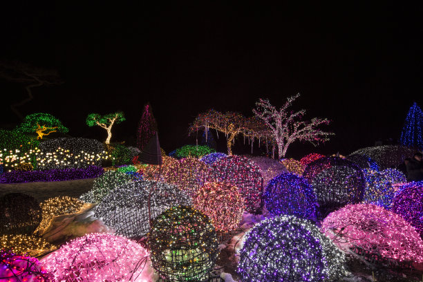 植物园圣诞装饰8图片下载
