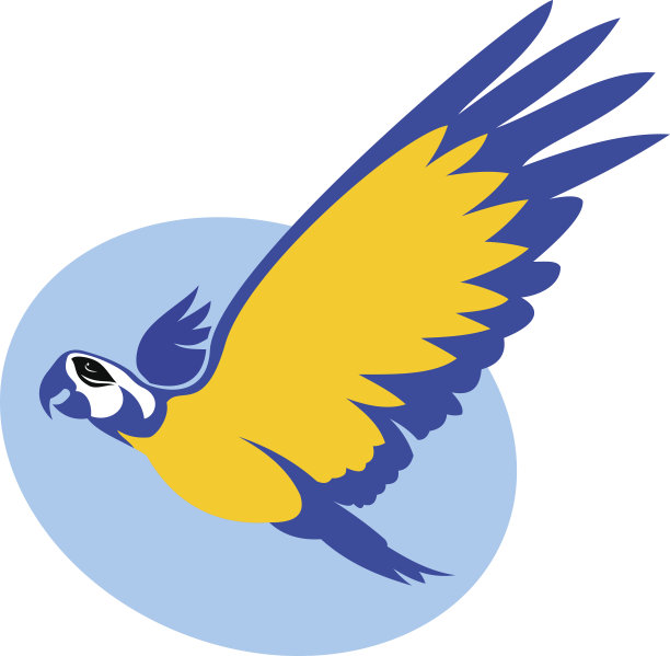 快乐的鸟图片下载