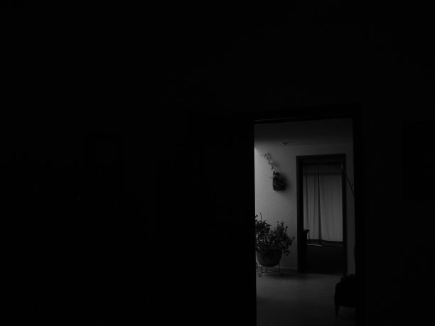 花盆和门框图片下载