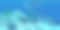 海豚在水下图片下载