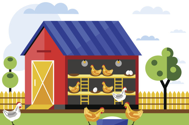 养鸡场，矢量插图。图片下载