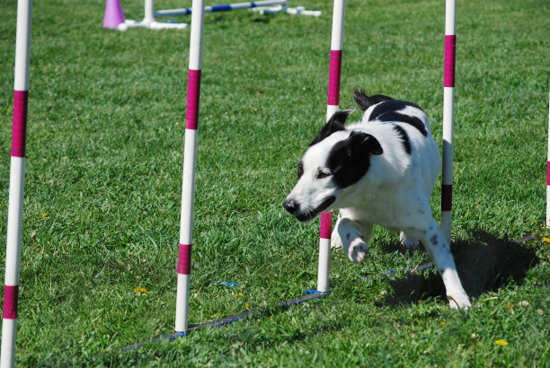 看我织图片下载