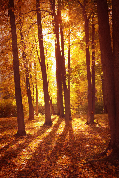 秋天的风景图片下载