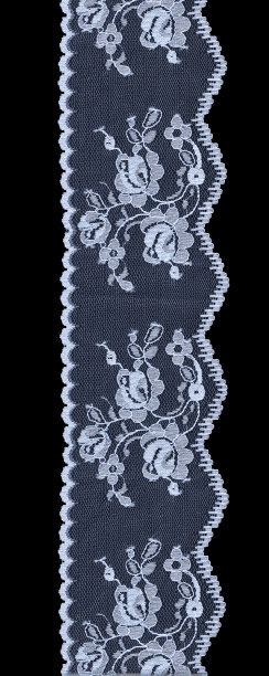 白色花边图片下载