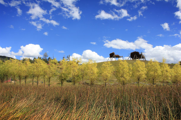 Lanscape在香格里拉图片下载