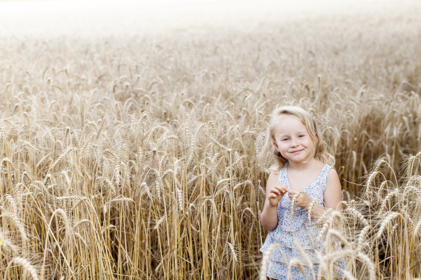 谷物里的女孩图片下载