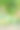芒果在树图片下载