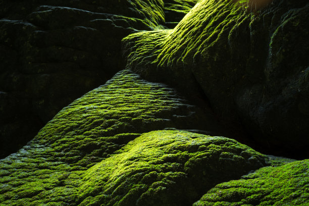 世界上最大的洞穴松洞位于越南中部广平省的芳芽克邦国家公园的中心地带图片下载