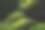 世界上最大的洞穴松洞位于越南中部广平省的芳芽克邦国家公园的中心地带图片下载