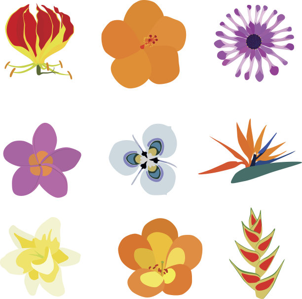 充满异域风情的花朵图片下载