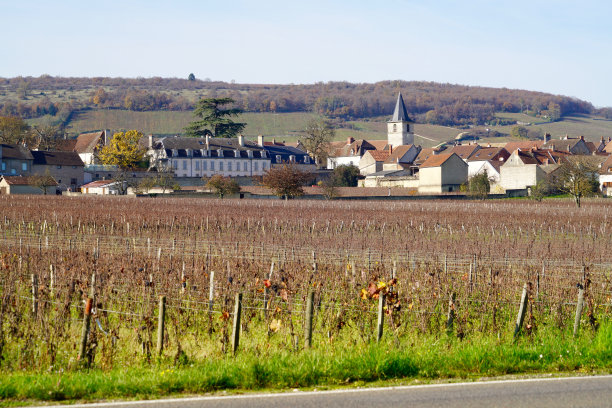 秋天的阿罗克斯·科顿图片下载