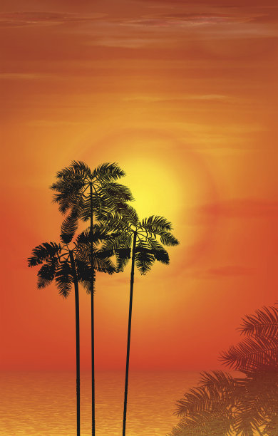 夏天的夜晚。夕阳背景上的棕榈树。图片下载