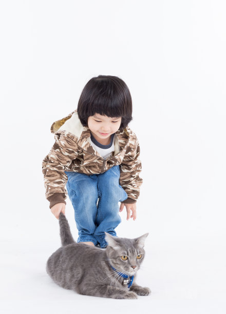 男孩和猫图片下载