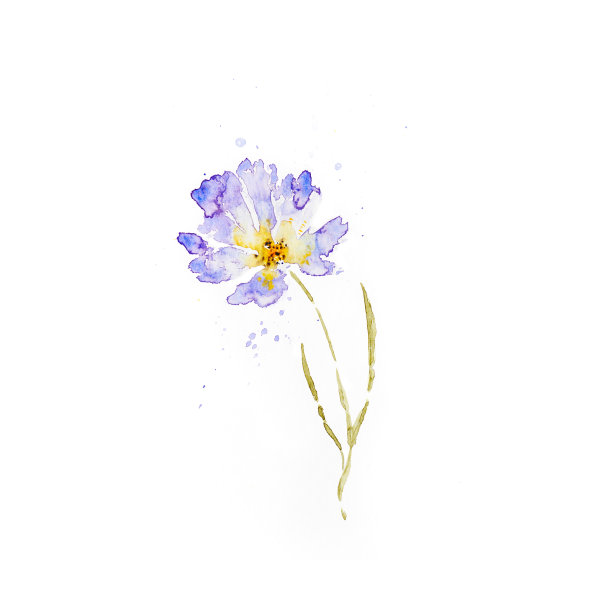 抽象水彩花(手绘)图片下载