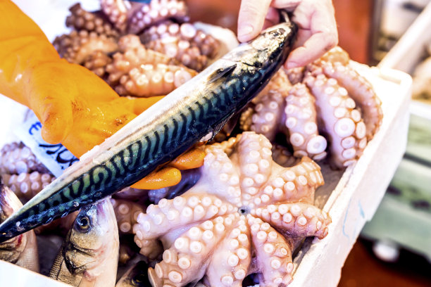 鱼市上的鲭鱼和章鱼图片下载