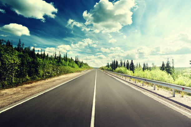 北方森林之路图片下载