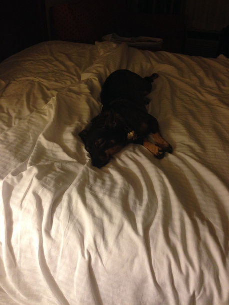 准备睡觉了。图片下载