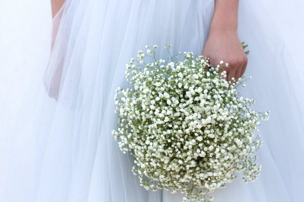 新娘的花束图片下载