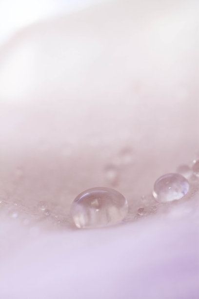 水滴在花瓣上。粉红色的水滴大自然图片下载