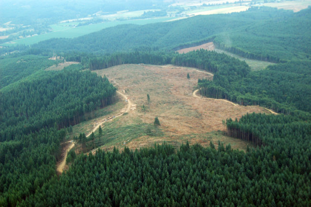 西北大片图片下载