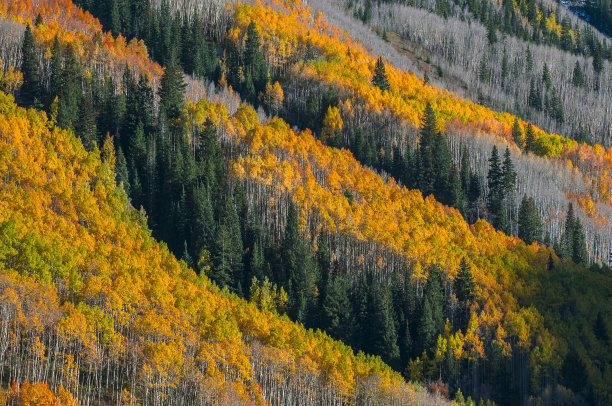 美丽的秋天背景图片下载