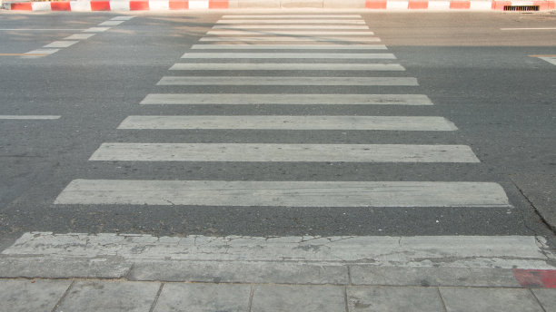 Zeebra穿越图片下载