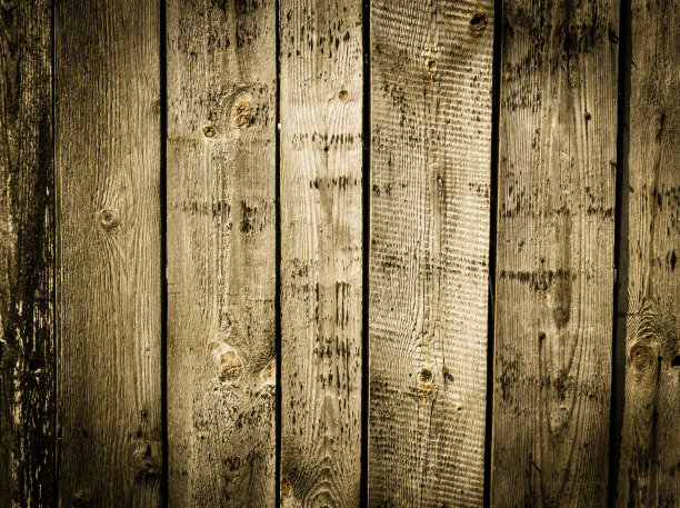 对木材图片下载