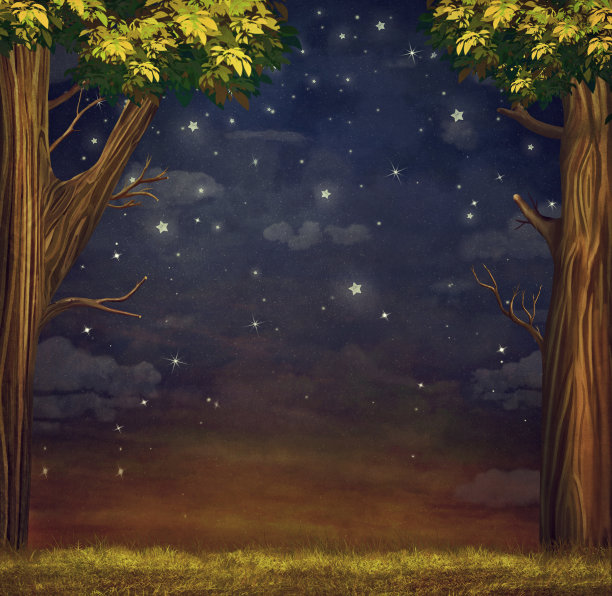 森林与星星的插图图片下载