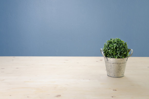 办公室桌子上有绿树的篮子图片下载