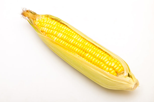 新鲜玉米，叶片孤立在白色背景上图片下载