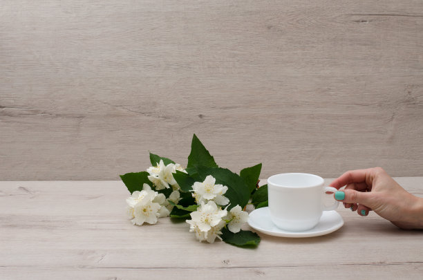 女人的手，白色杯子和茉莉花枝图片下载