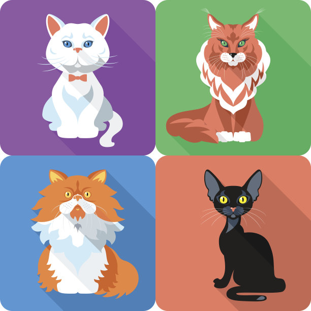 设置猫图标平面设计图片下载