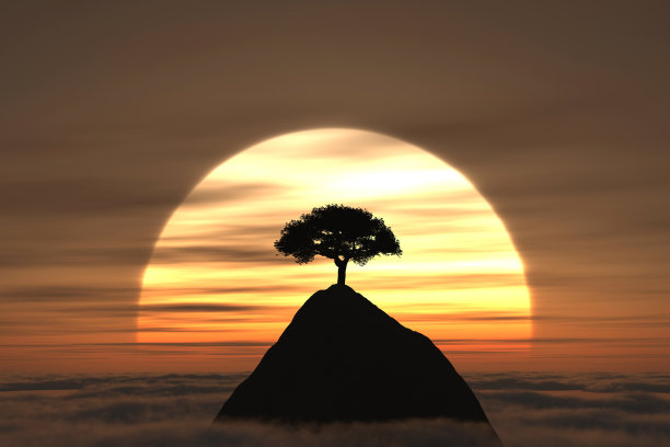 夕阳树图片下载