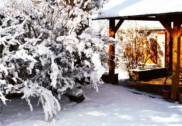 下雪的一天图片下载