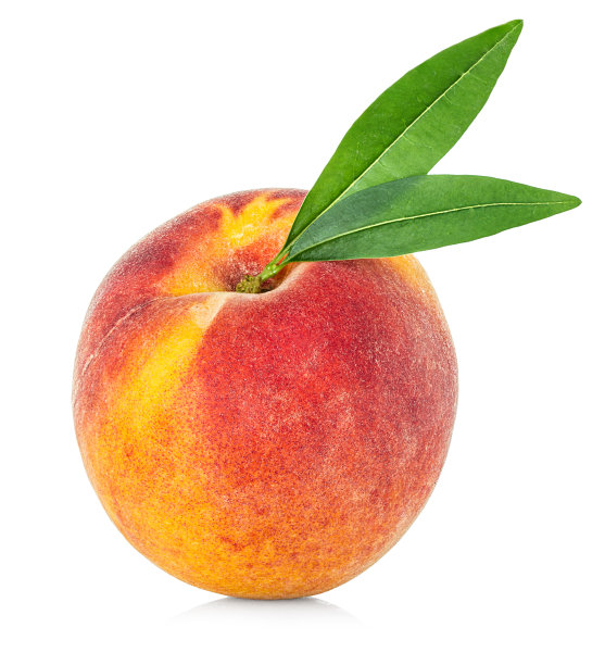 叶子孤立在白色背景上的桃子图片下载