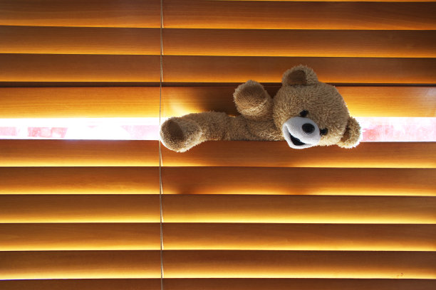 泰迪偷偷在图片下载