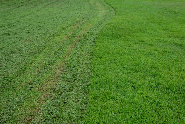 修剪草坪的痕迹。图片下载