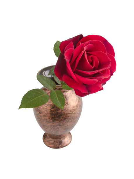 陶瓷花瓶上的红玫瑰图片下载