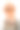 狗在一大堆书后面图片下载