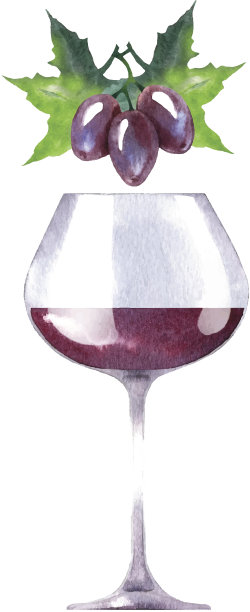 矢量水彩素描的葡萄酒和葡萄。图片下载