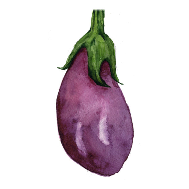 水彩手绘茄子图片下载