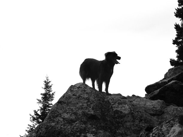 在世界之巅图片下载