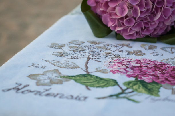 沙滩上的绣球花图片下载