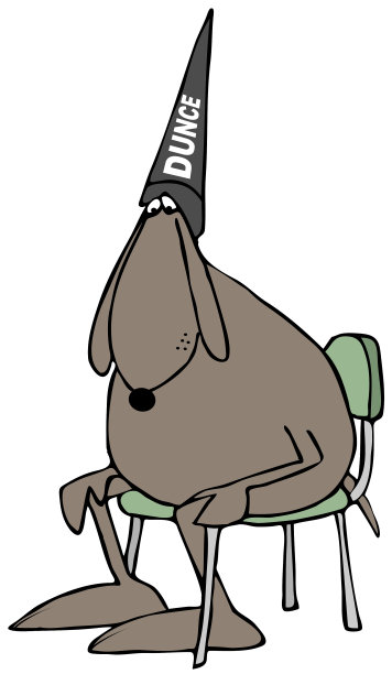 愚蠢的狗图片下载